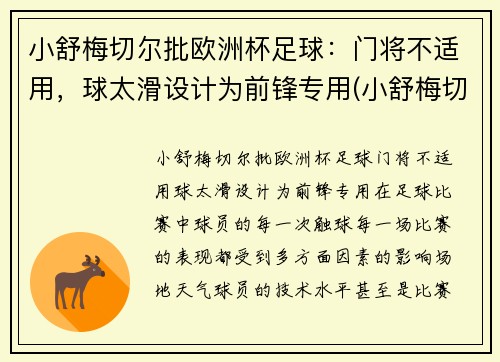 小舒梅切尔批欧洲杯足球：门将不适用，球太滑设计为前锋专用(小舒梅切尔厉害吗)