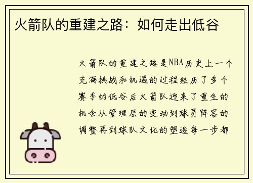 火箭队的重建之路：如何走出低谷